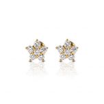 Five Petal Spark Earring